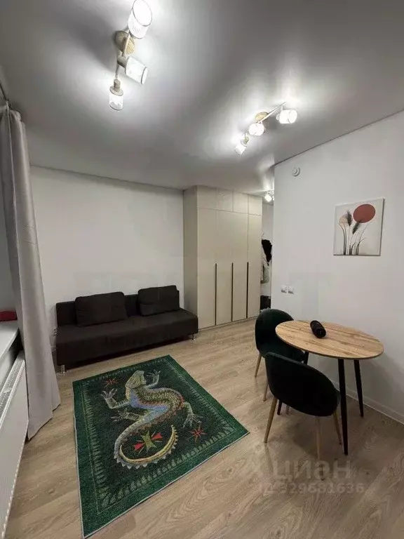 Студия Свердловская область, Екатеринбург ул. Крауля, 107 (25.0 м) - Фото 1