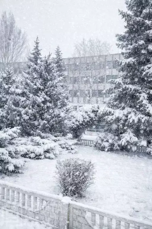 Торговая площадь в Волгоградская область, Городищенский район, ... - Фото 2