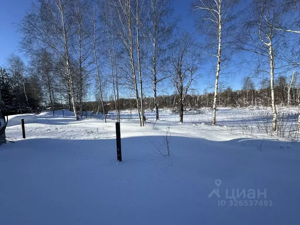 Участок в Московская область, Богородский городской округ, с. ... - Фото 2