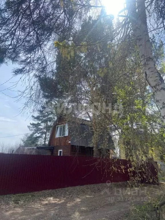 Дом в Новосибирская область, Новосибирск Пион садовое товарищество, ... - Фото 1