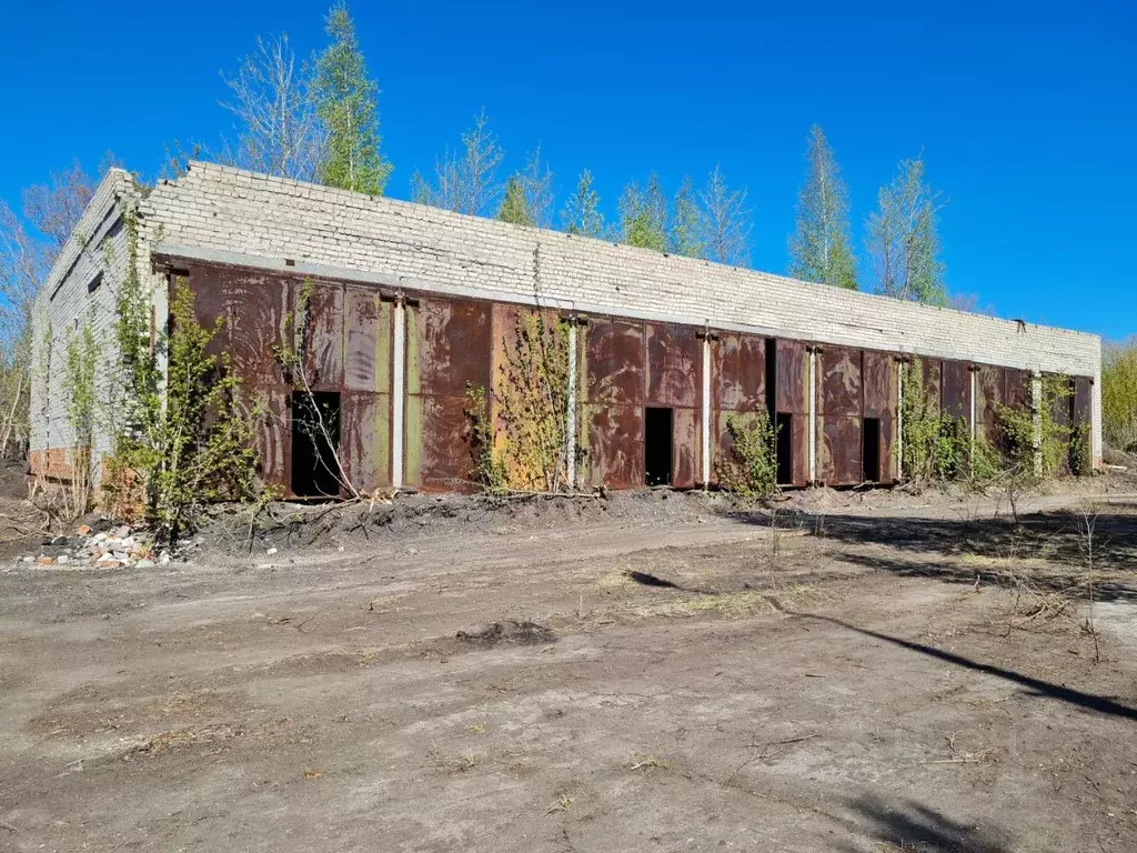 Гараж в Самарская область, Сызрань ул. Суворова, 177АА1 (673 м) - Фото 1