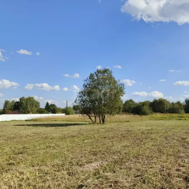Участок в Калужская область, Дзержинский район, Дворцы с/пос, д. ... - Фото 2