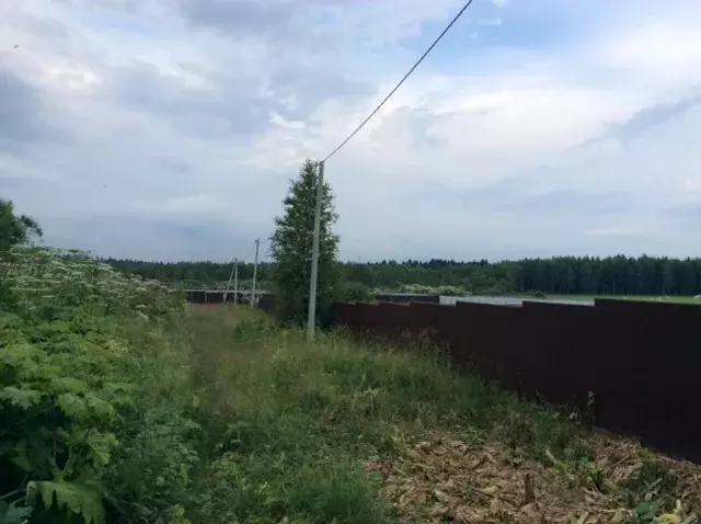 Продается участок в д. Хомяки - Фото 1