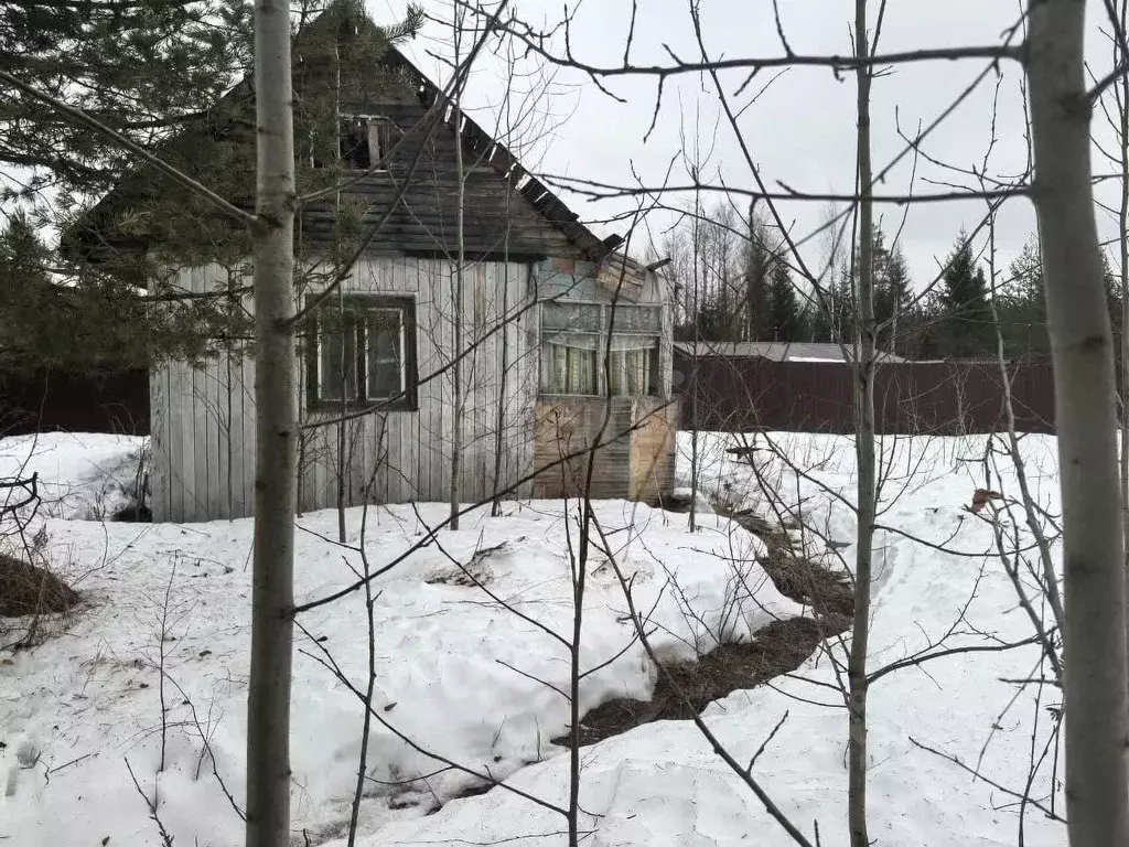 Участок в Коми, Сыктывдинский район, Выльгорт муниципальное ... - Фото 0