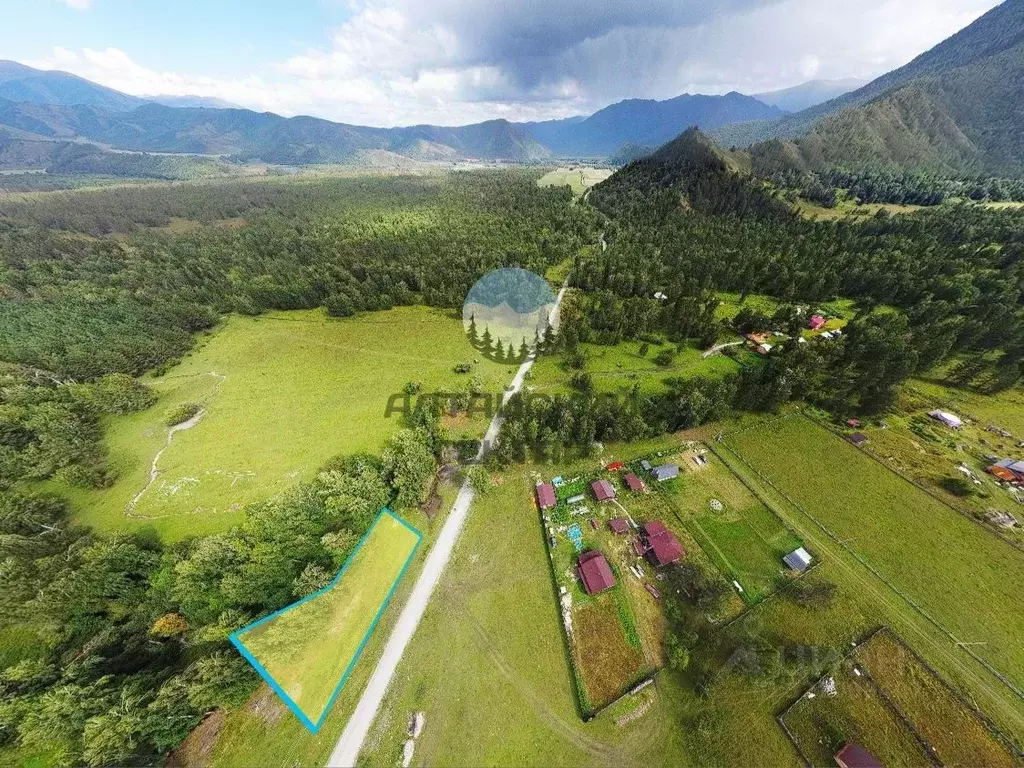 Участок в Алтай, Усть-Коксинский район, пос. Замульта Новая ул. (10.59 ... - Фото 1