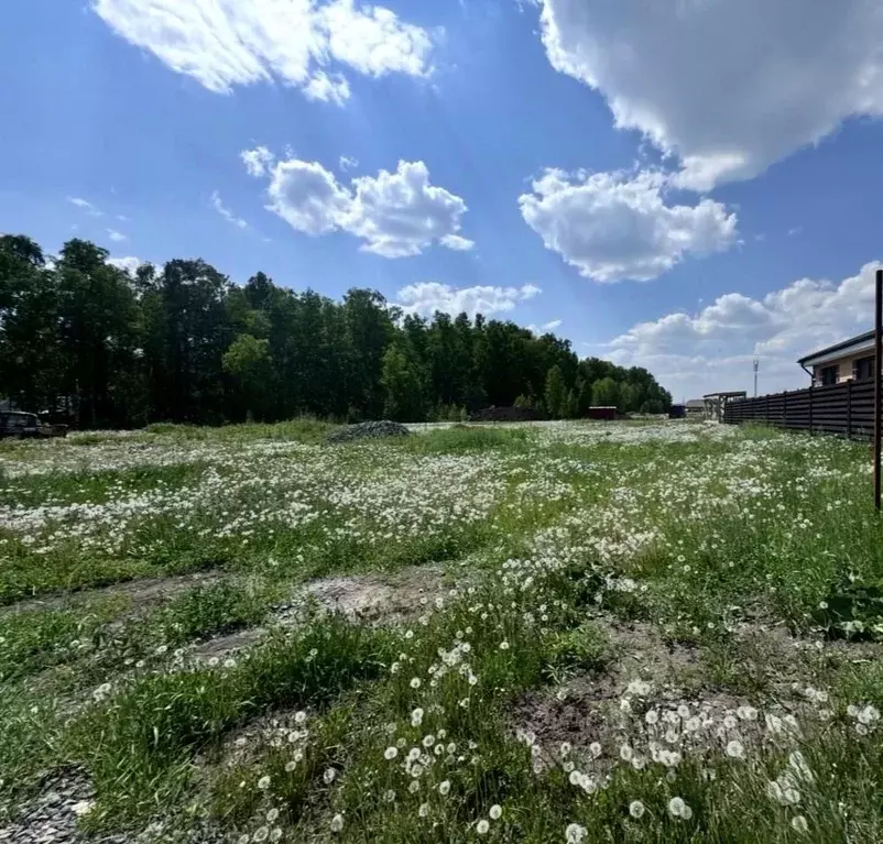 Участок в Красноярский край, Емельяновский район, пос. Элита, Видный ... - Фото 0