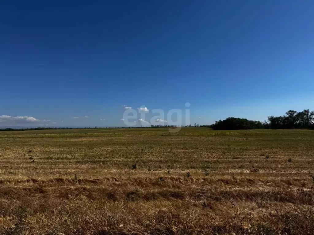 Участок в Крым, Симферопольский район, Николаевка пгт ул. Советская ... - Фото 1