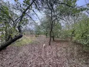 Участок в Краснодарский край, Краснодар пос. Белозерный, 14/3 (6.0 ... - Фото 1
