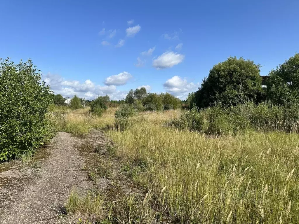 Участок в Московская область, Одинцовский городской округ, с. ... - Фото 1