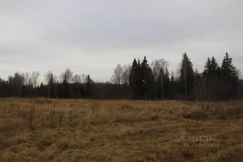 Участок в Московская область, Шаховская муниципальный округ, с. Белая ... - Фото 1