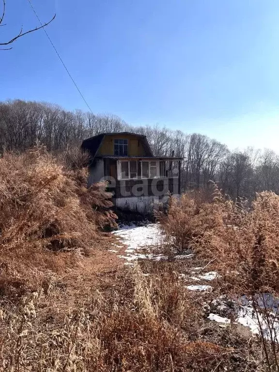 Дом в Приморский край, Надеждинский район, Тигровая Падь урочище ул. ... - Фото 1