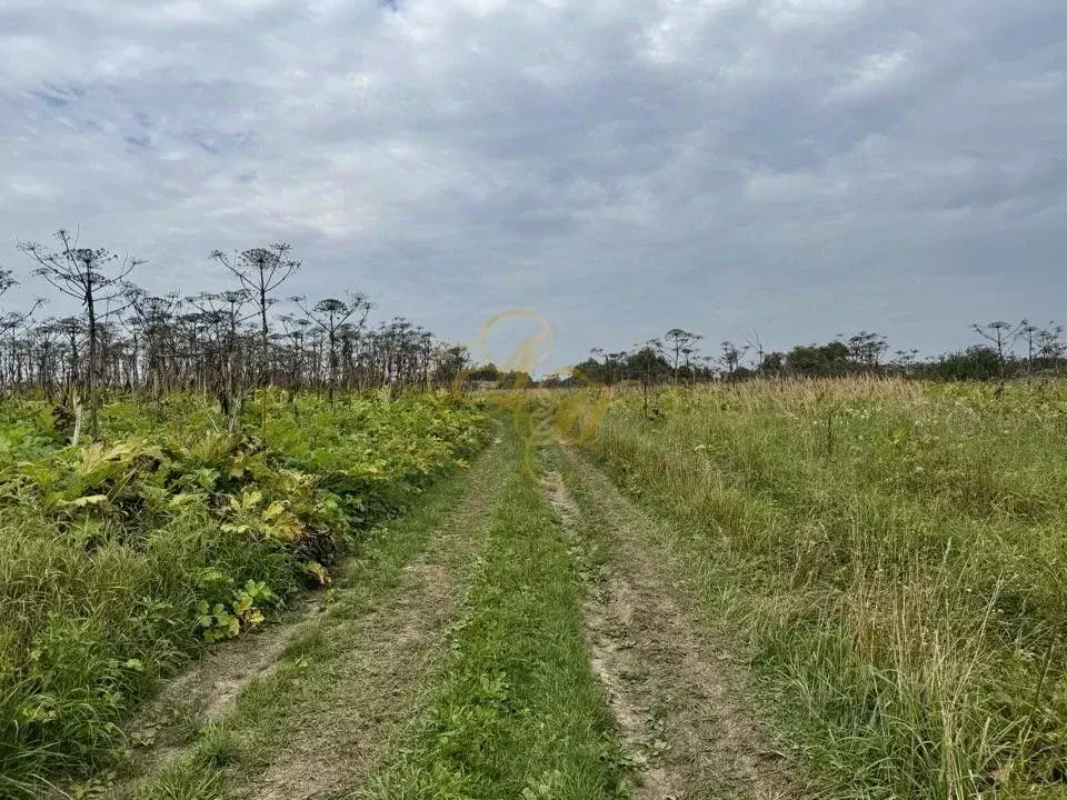 Участок в Московская область, Клин городской округ, д. Слободка  (10.0 ... - Фото 1