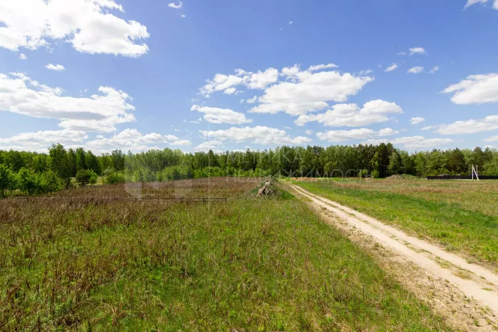 Участок в Тюменский район, село Каменка (10.16 м) - Фото 0