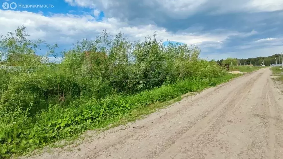 Участок в Тюменский район, деревня Ушакова (15.3 м) - Фото 1
