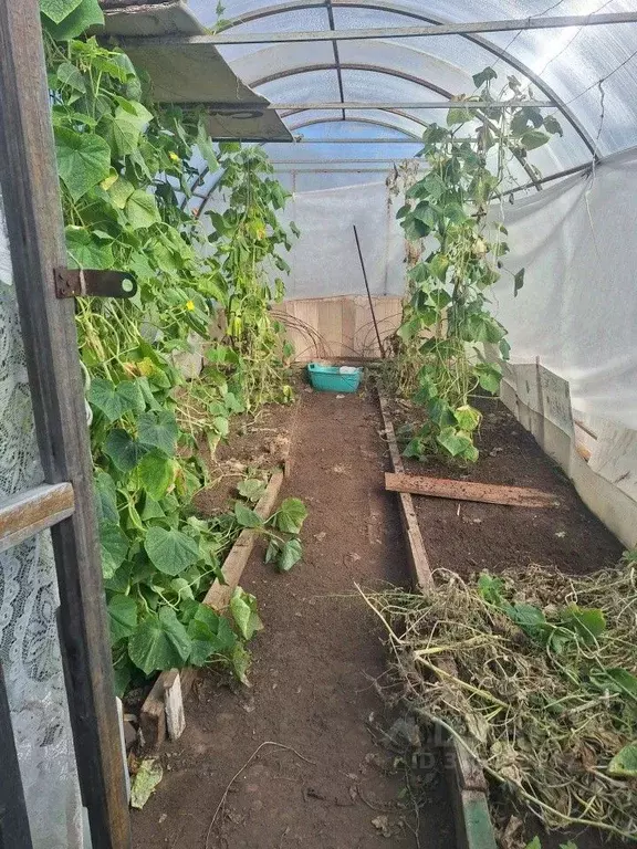 Участок в Свердловская область, Верхнее Дуброво пгт, Сад № 2 СНТ 58 ... - Фото 0