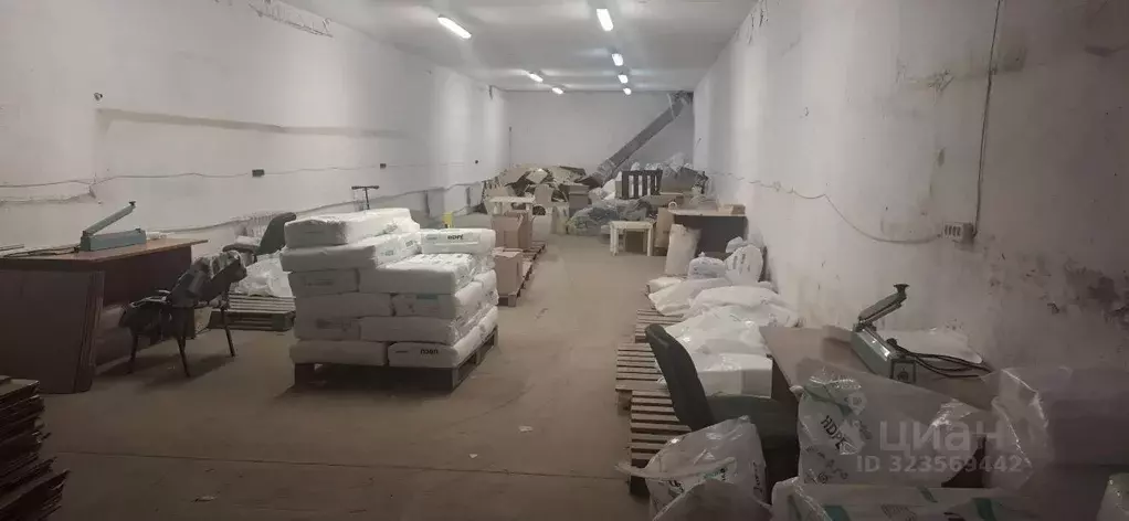 Помещение свободного назначения в Новосибирская область, Новосибирск ... - Фото 1