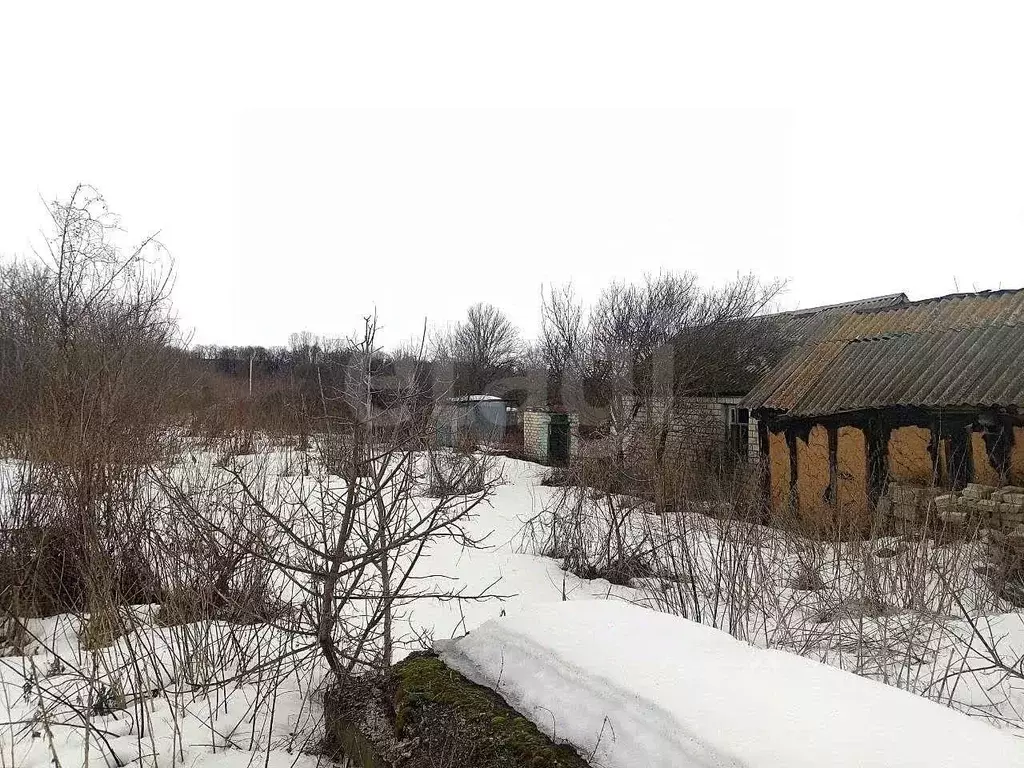 Участок в Белгородская область, Поселок Чернянка городское поселение, ... - Фото 1