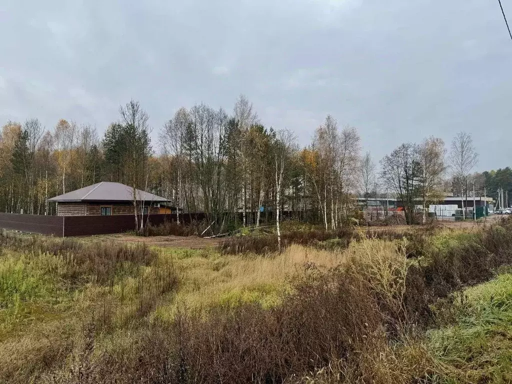 Участок в Московская область, Щелково городской округ, д. Протасово ... - Фото 2