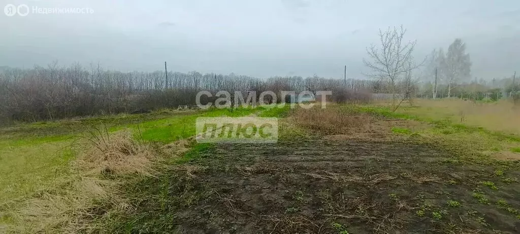 Участок в Тамбовский муниципальный округ, дачный посёлок Профилактика ... - Фото 2