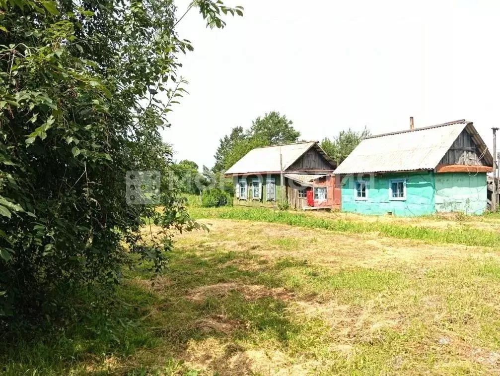 Дом в Амурская область, Белогорский муниципальный округ, с. Амурское ... - Фото 1