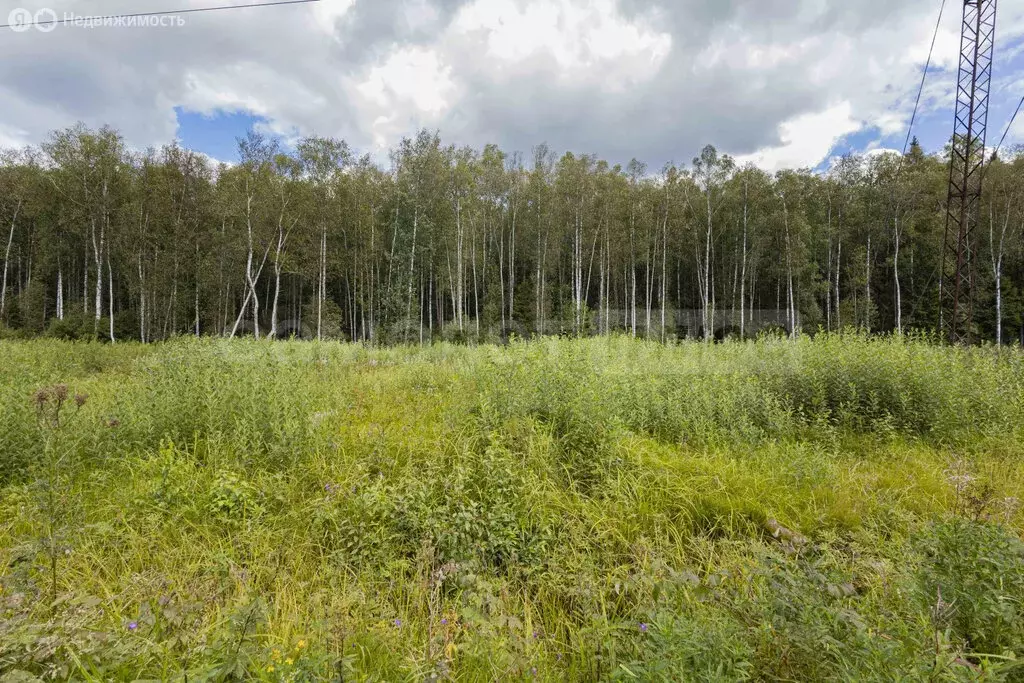 Участок в Наро-Фоминский городской округ, садовое товарищество ... - Фото 2