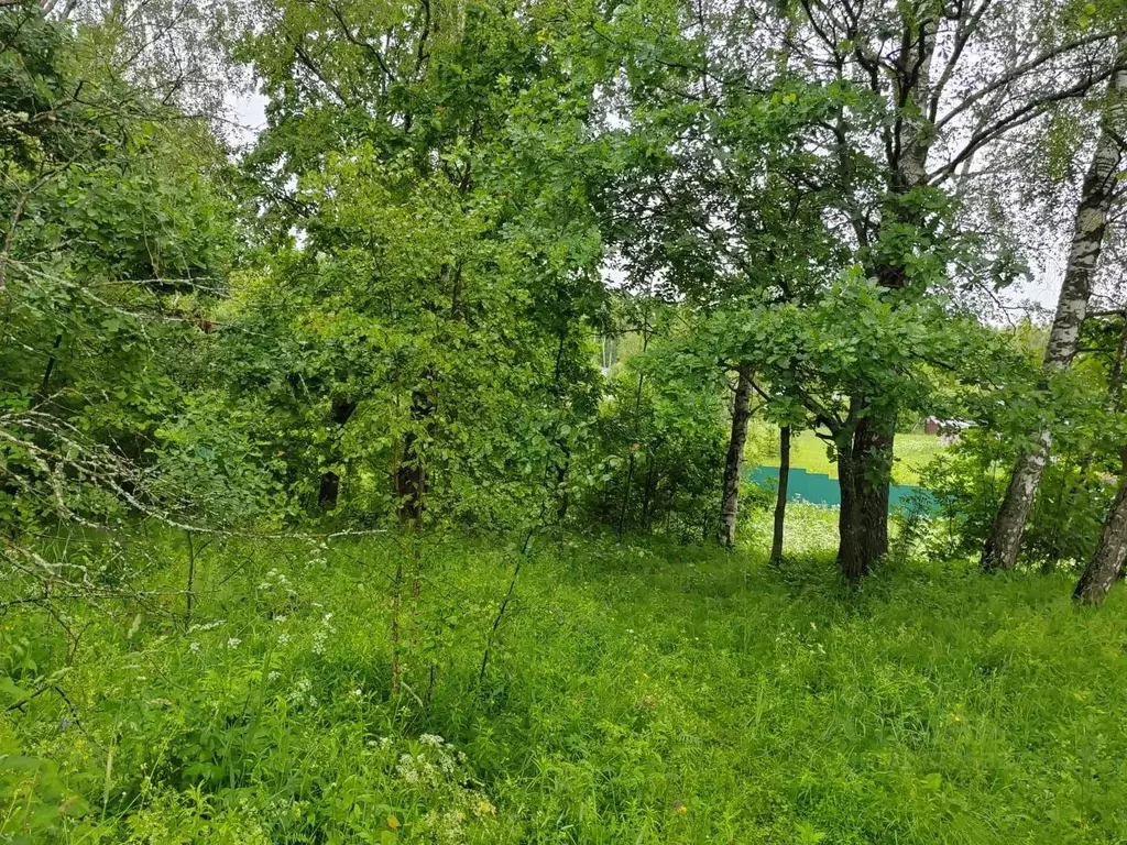 Участок в Московская область, Чехов  (13.97 сот.) - Фото 1