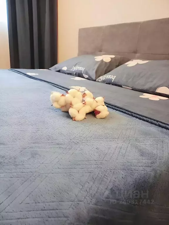 1-к кв. Рязанская область, Рязань Олимпийский городок мкр, 1 (28.0 м) - Фото 2