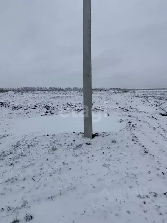 Участок в Белгородская область, Белгородский район, Головинское с/пос, ... - Фото 1