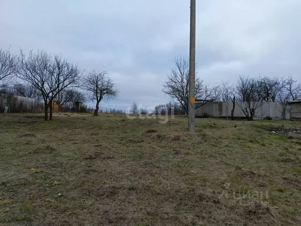 Участок в Воронежская область, Рамонский район, с. Русская Гвоздевка ... - Фото 1