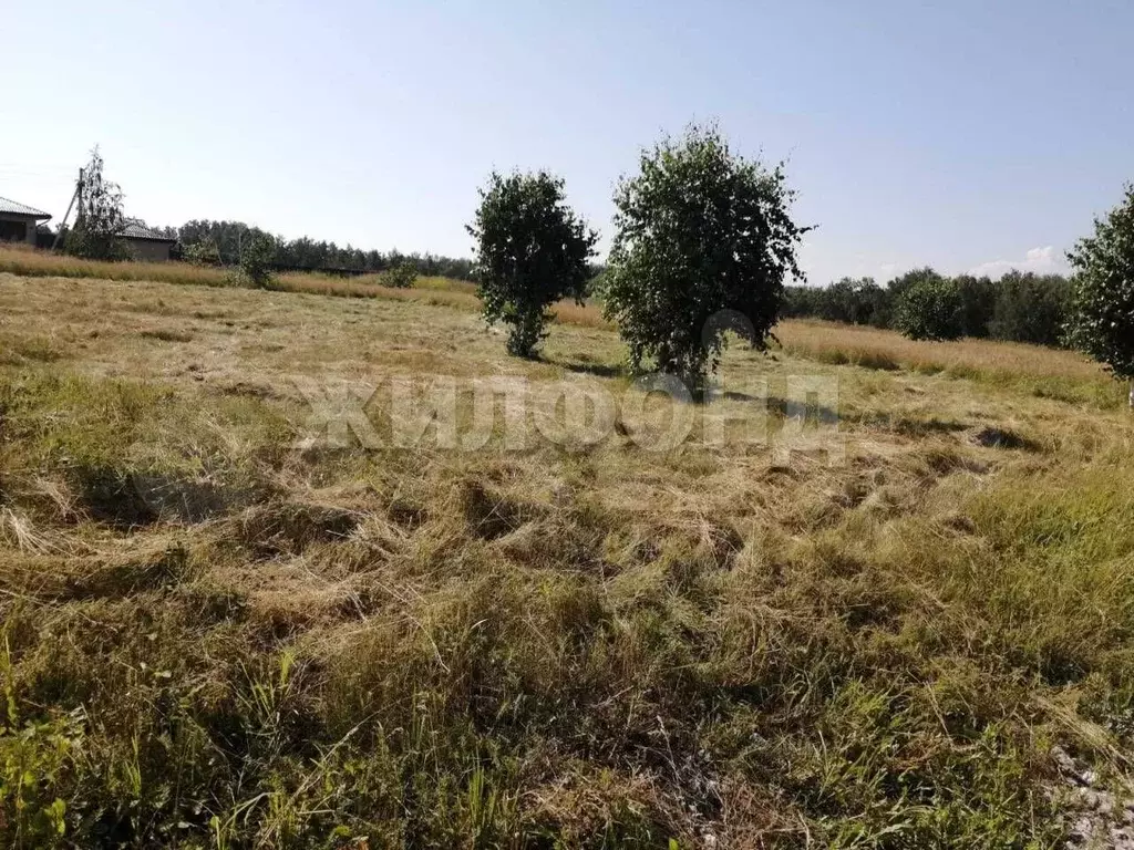 Участок 7,9 сот. (СНТ, ДНП) - Фото 1
