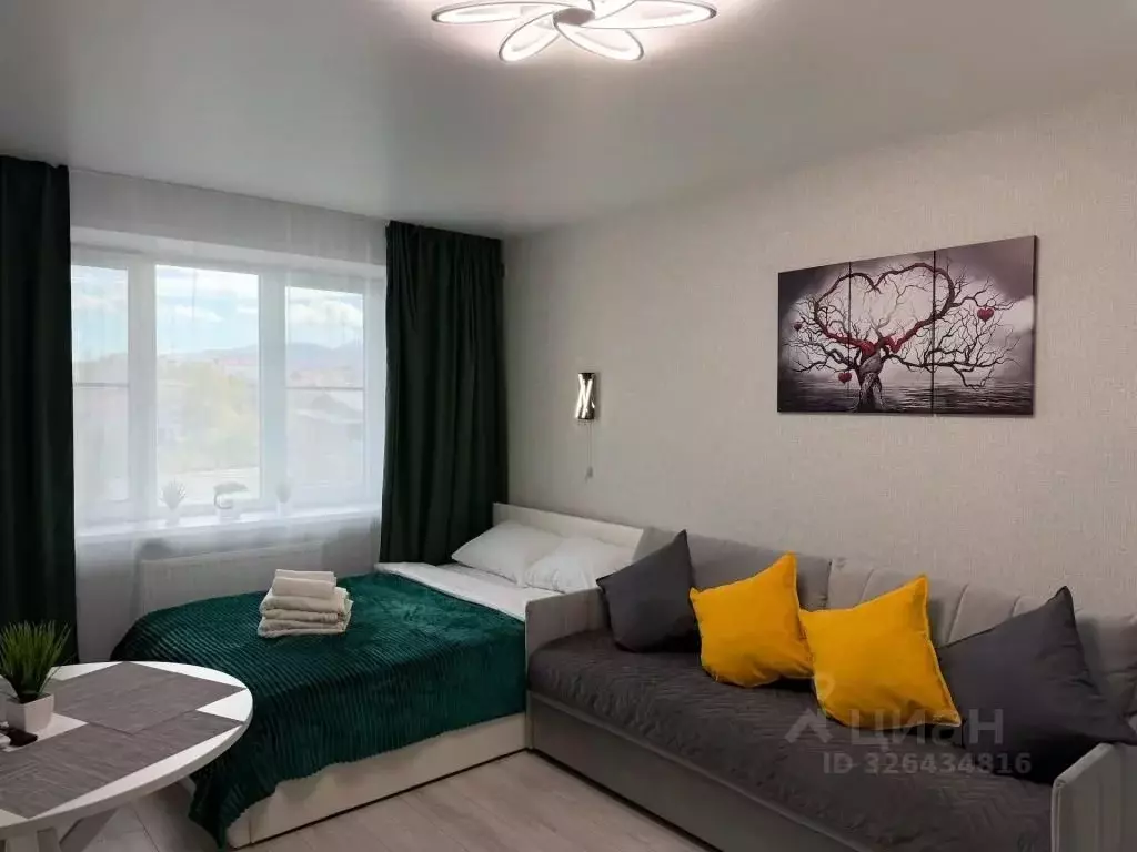 1-к кв. Алтайский край, Белокуриха ул. Соболева, 22 (24.0 м) - Фото 1