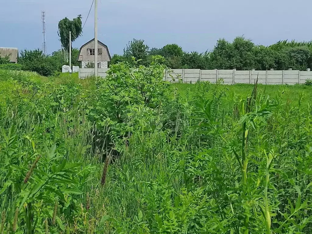 Участок в Брянская область, Брянский район, Снежское с/пос, пос. ... - Фото 1