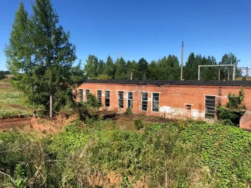 Помещение свободного назначения в Пермский край, Осинский городской ... - Фото 1