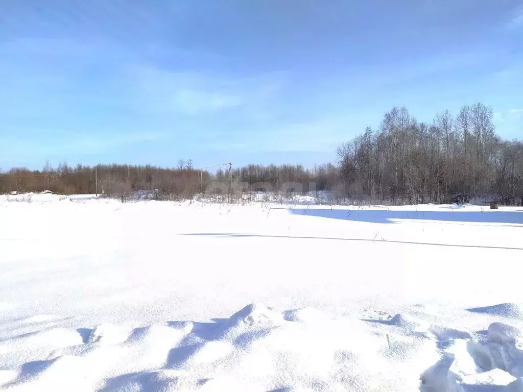 Участок в Вологодская область, Великий Устюг  (11.0 сот.) - Фото 0