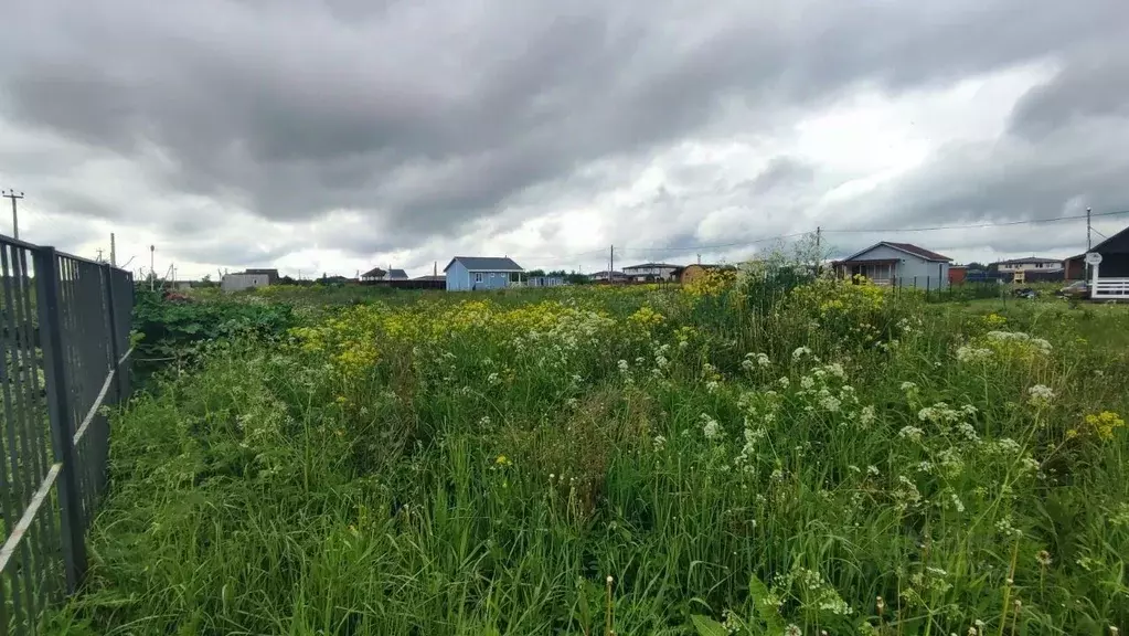 Участок в Ленинградская область, Ломоносовский район, Гостилицкое ... - Фото 1