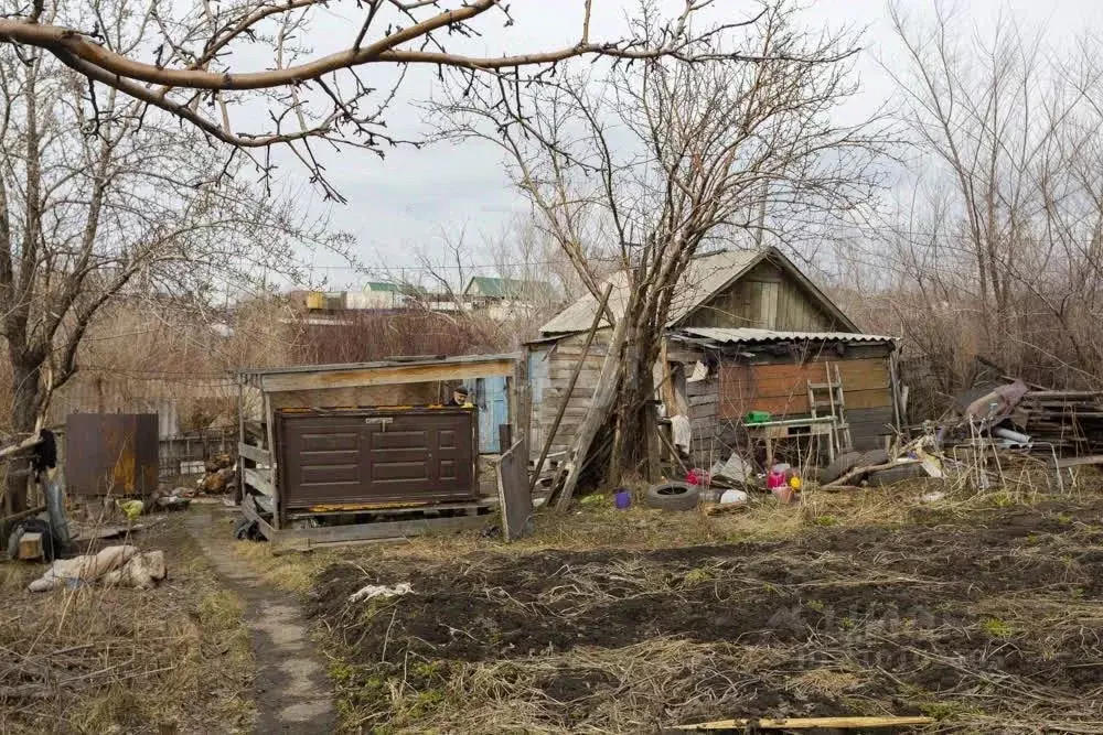 Участок в Кемеровская область, Новокузнецк Цементник-1 СНТ, 116 (6.0 ... - Фото 0