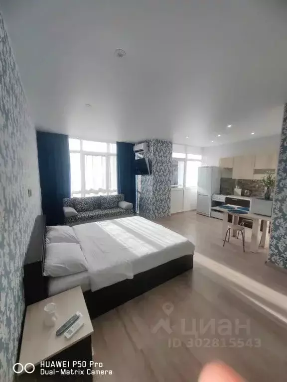 Студия Краснодарский край, Сочи Виноградная ул., 206 (45.0 м) - Фото 1