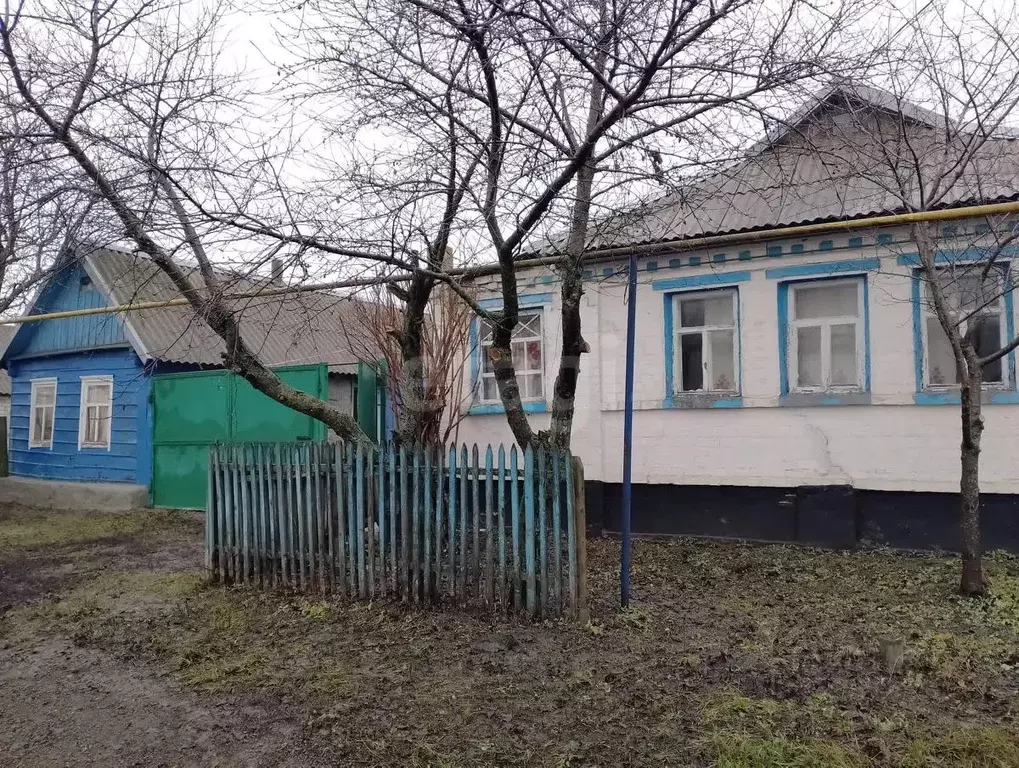 Дом в Белгородская область, Корочанский район, Соколовское с/пос, с. ... - Фото 1