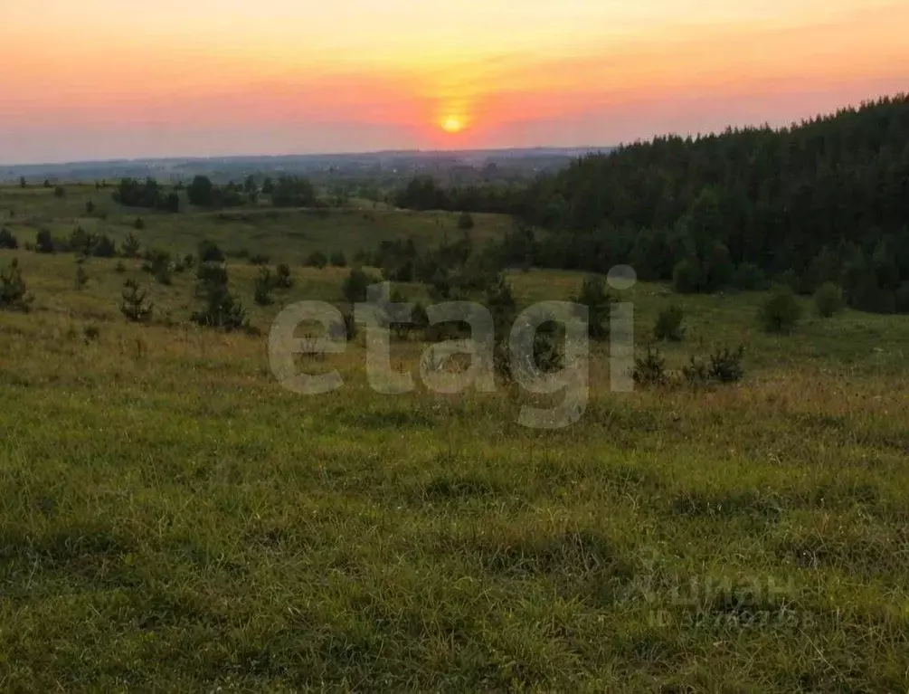 Участок в Тамбовская область, Тамбовский муниципальный округ, ... - Фото 1