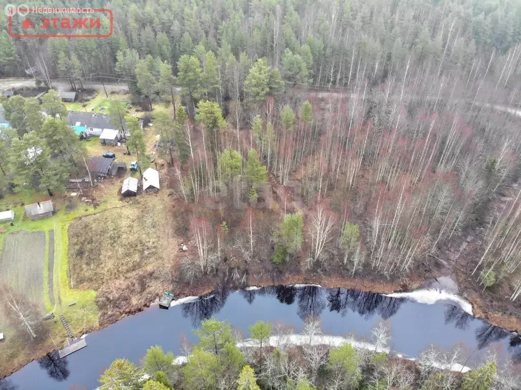 Участок в Пряжинский район, Эссойльское сельское поселение, посёлок ... - Фото 2