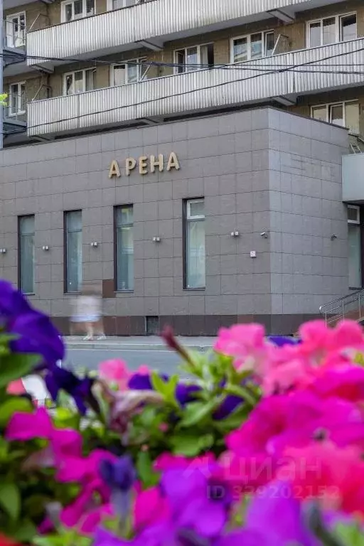 Комната Москва ул. 10-летия Октября, 11 (10.0 м) - Фото 1
