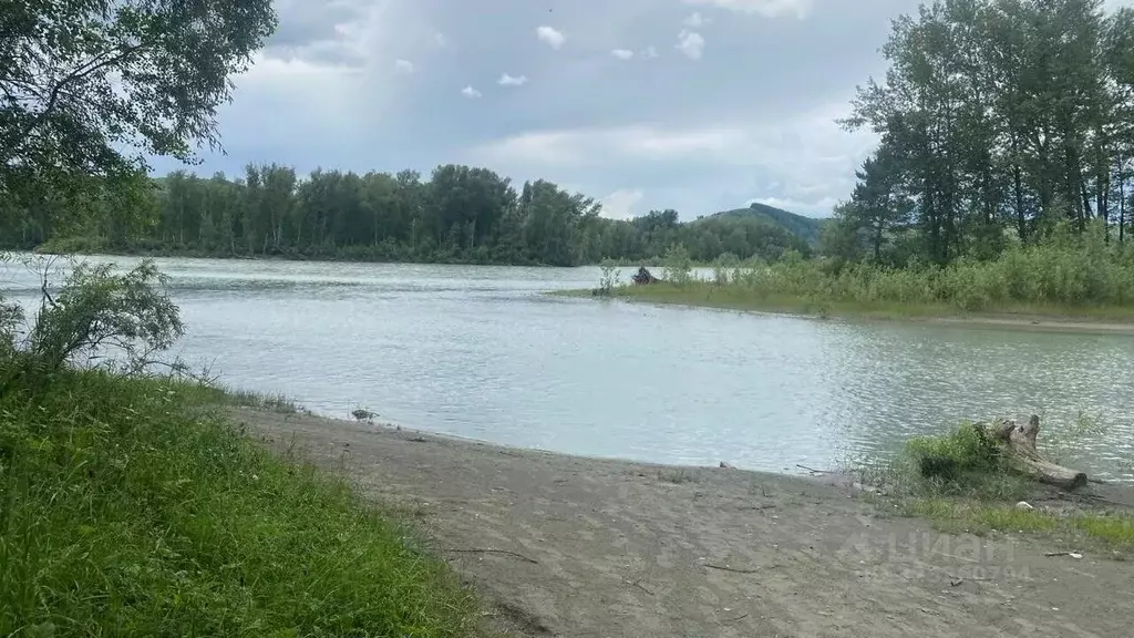 Участок в Алтай, Майминский район, пос. Дубровка ул. Сафронова, 91А ... - Фото 2