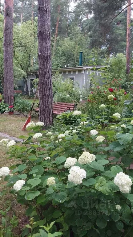 Дом в Московская область, Раменский городской округ, Кратово дп ул. ... - Фото 0