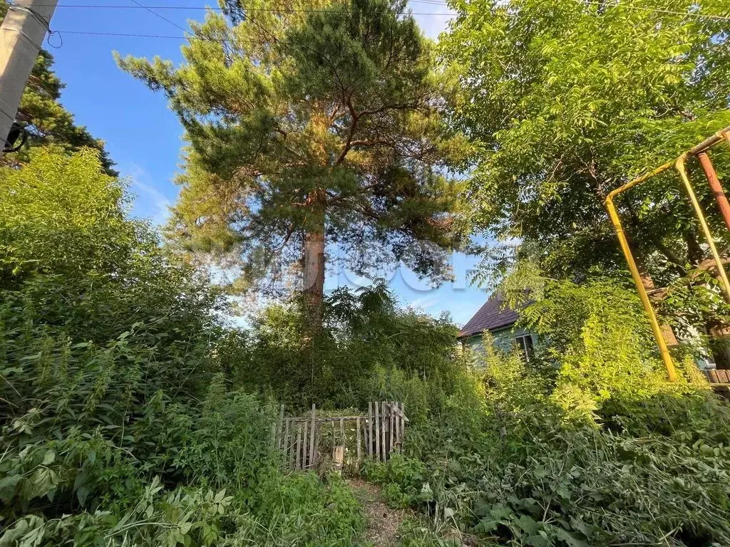 Участок в Новосибирская область, Новосибирск Анжерская ул. (6.5 сот.) - Фото 1