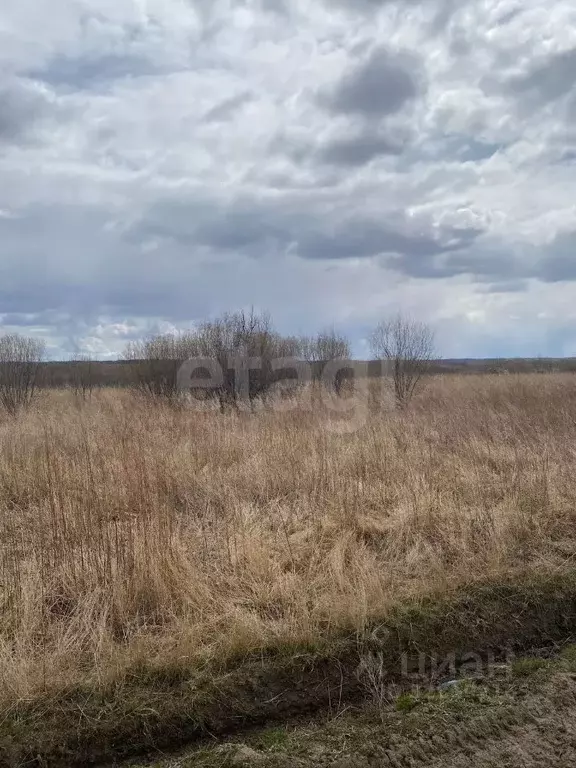 Участок в Амурская область, Благовещенский район, с. Новотроицкое  ... - Фото 1