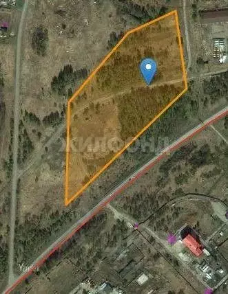 Участок в Томская область, Томский район, с. Семилужки Колхозная ул. ... - Фото 1