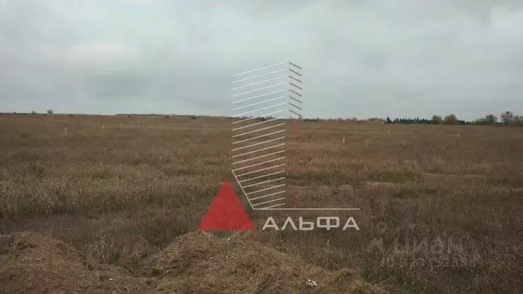 Участок в Крым, Черноморский район, Оленевское с/пос, с. Оленевка ул. ... - Фото 2