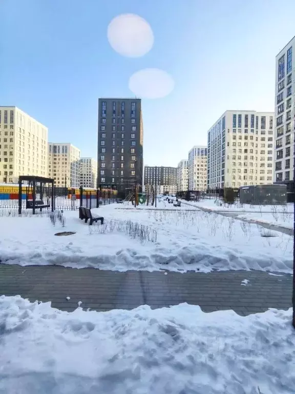 Студия Санкт-Петербург Планерная ул., 99 (25.4 м) - Фото 1