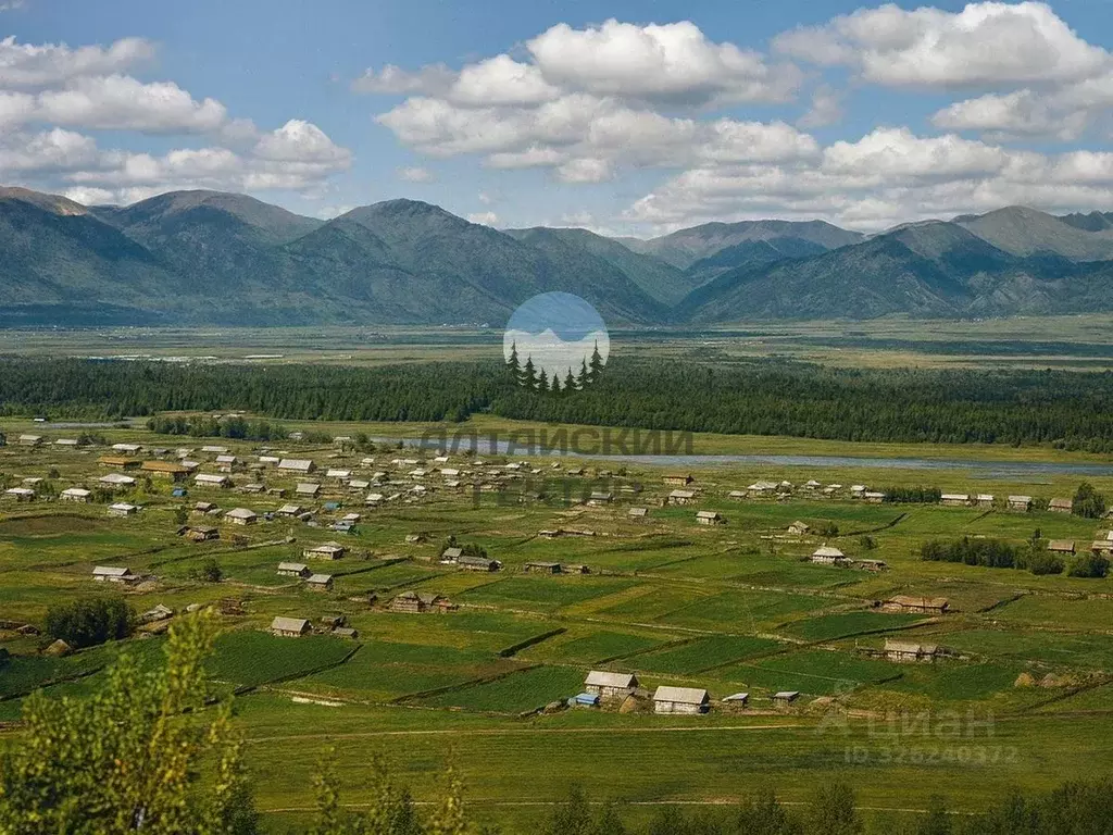 Участок в Алтай, Усть-Коксинский район, с. Нижний Уймон Центральная ... - Фото 1