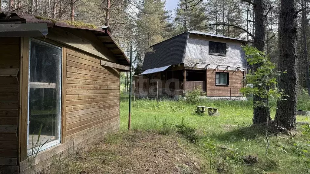 Дом в Псковская область, Псковский муниципальный округ, Середкинская ... - Фото 1